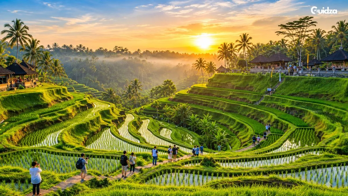 Bali's rice terrace